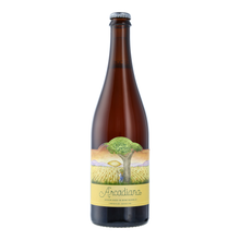 Load image into Gallery viewer, Creature Comforts Brewing Beer Arcadiana
