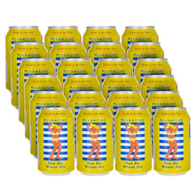 Load image into Gallery viewer, Mikkeller Beer 24 Pack (Save 15%) Drink&#39;in The Sun
