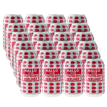 Load image into Gallery viewer, Mikkeller Beer 24 Pack (Save 15%) Hallo Ich Bin Raspberry Berliner
