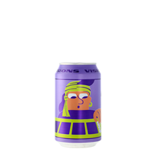 Load image into Gallery viewer, Mikkeller Beer Visions Lager
