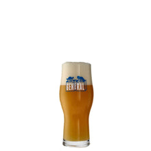 Load image into Gallery viewer, Moksa Brewing Co Beer Nectaronus Prime
